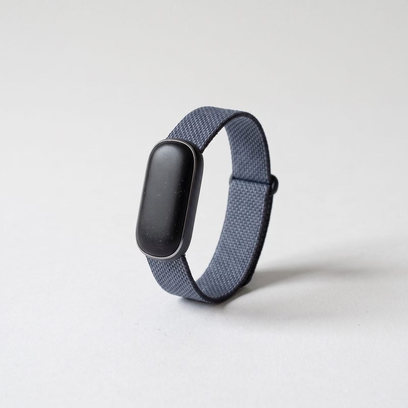 Fitbit Air